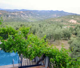 Vistas desde el balcón de la Casa Rural Laguna